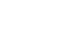 BruteSec Labs